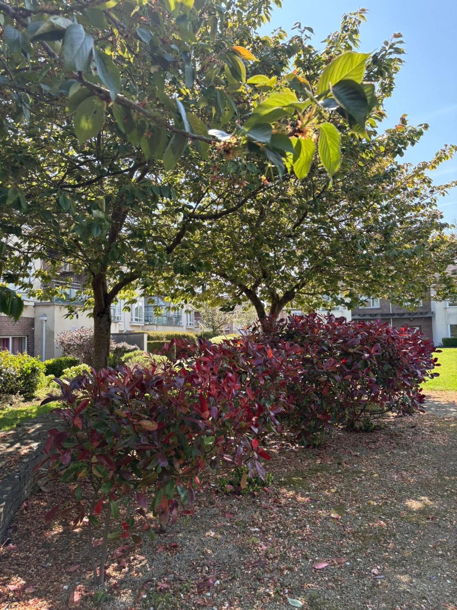 Cosy 2-bedroom Near Airport Apartment