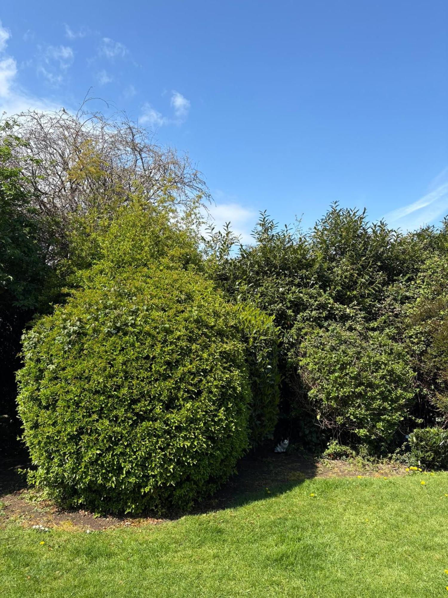 Cosy 2-bedroom Near Airport Apartment *